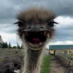 Мария Семенова, 15.02, Санкт-Петербург