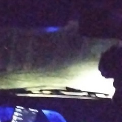 Антон Курушкин, 25.10.1995, Городовиковск