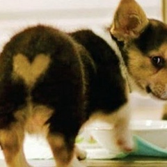 Асыл Тлепова, 30.05.1983, Уральск