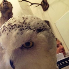 Егор Малашичев, 10.06.1973, Санкт-Петербург