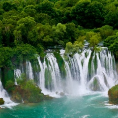 Home Remedies, 03.03.1979, Melbourne