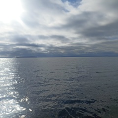 Алексей Базарин, Санкт-Петербург