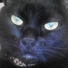 Лена Четверикова, 18.12, Санкт-Петербург