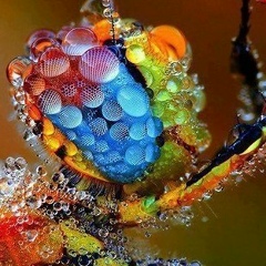 Александр Вельможко, 17.12.1901