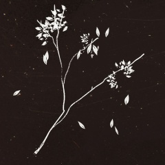 Илья Малов, 12.07