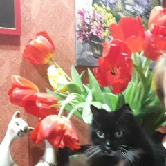 Ирина Бакал, 26.04