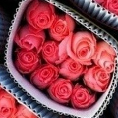 Наталья Наталья