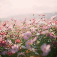 Жибек Ахметова, 10.06