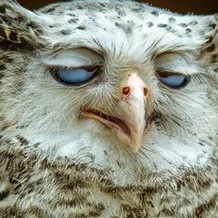 Айгуль Насырова, 18.10.1985, Уфа