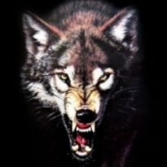 Динислам Валиев, 25.04, Астана