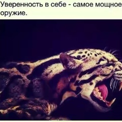 Ахмед Борода, 01.01, Назрань