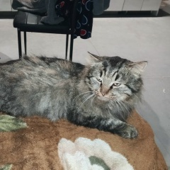 Ольга Заботина, 13.12.1976, Санкт-Петербург