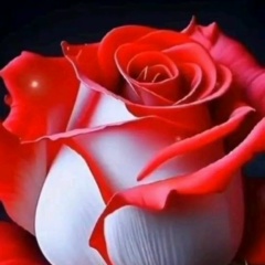 Наталия Наталина, 14.09, Санкт-Петербург