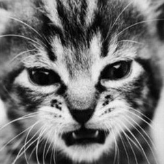 Аида Кабдугалыкова, 18.09, Караганда