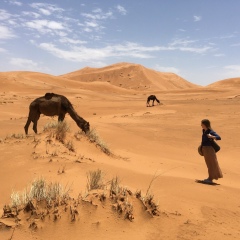 Inga Fleshtor, Toronto