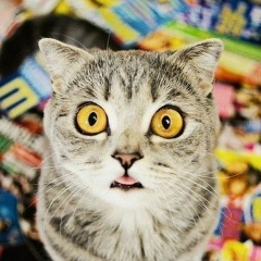 Денис Иванов, 25.05, Москва