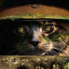 Павел Михайлов, Уфа