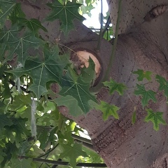 Мария Моисеева, 21.08.1975, Ришон ЛеЦион