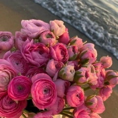 Екатерина Жмуд, 30.11.1985, Звенигород