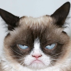 Анатолий Чикирев, 15.06, Пермь