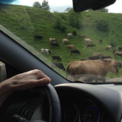 Леша Авилов, 23.07, Москва