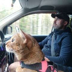 Александр Иванов, 17.09, Санкт-Петербург