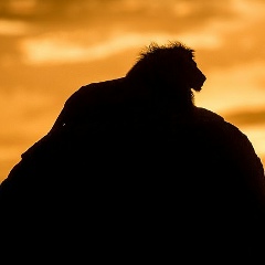 Светлана Портнова, 10.08.1975, Санкт-Петербург