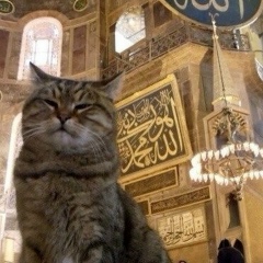 Манара Забитова, 29.08, Санкт-Петербург