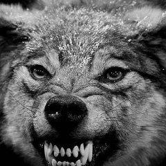 Серёга Лазарев, 25.04.1998, Иркутск