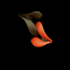 Min Min, 01.01.1988, Sittwe (Akyab)