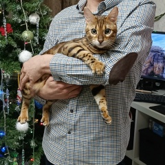 Roman Semenov, 12.08, Йошкар-Ола