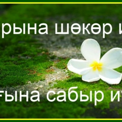 Дильбар Ахмадеева, 24.06.1993, Стерлитамак