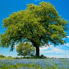 Андрей Попов, 29.09
