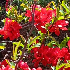 Ольга Армеева, 05.05