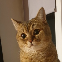 Александер Харьков, Минск