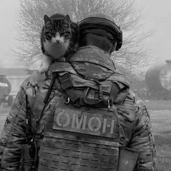 Adam Adamov, 14.04.1994, Москва