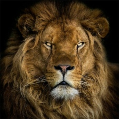 Bekmurat Isakov, Алматы