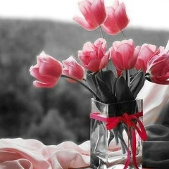 Тома Ханиева, 25.04, Москва