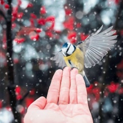 Құштар Төребекова, 30.10