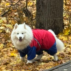 Ольга Матреницкая, 15.01.1901