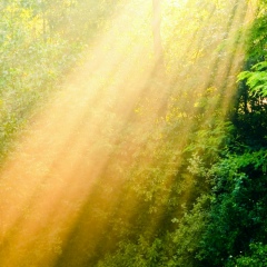 Анютик Дорина, 20.10, Бакал