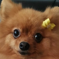 Людмила Курмашева, 30.03.1988, Москва