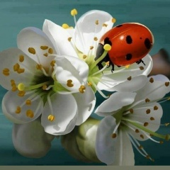 Ирина Прокопенко