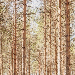 Станислав Шаронов, 29.10.1998, Москва