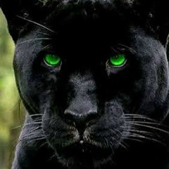 Катя Соловьева, Санкт-Петербург