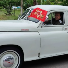 Илья Горелик, Волгоград