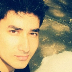 Айеркен Меметов, 20.04, Киев