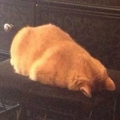 Виктория Кормилицина, Самара