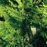 Сергей Doba, 31.01, Чернигов