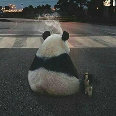 Сергей Наливайко, 18.02.1988, Одесса